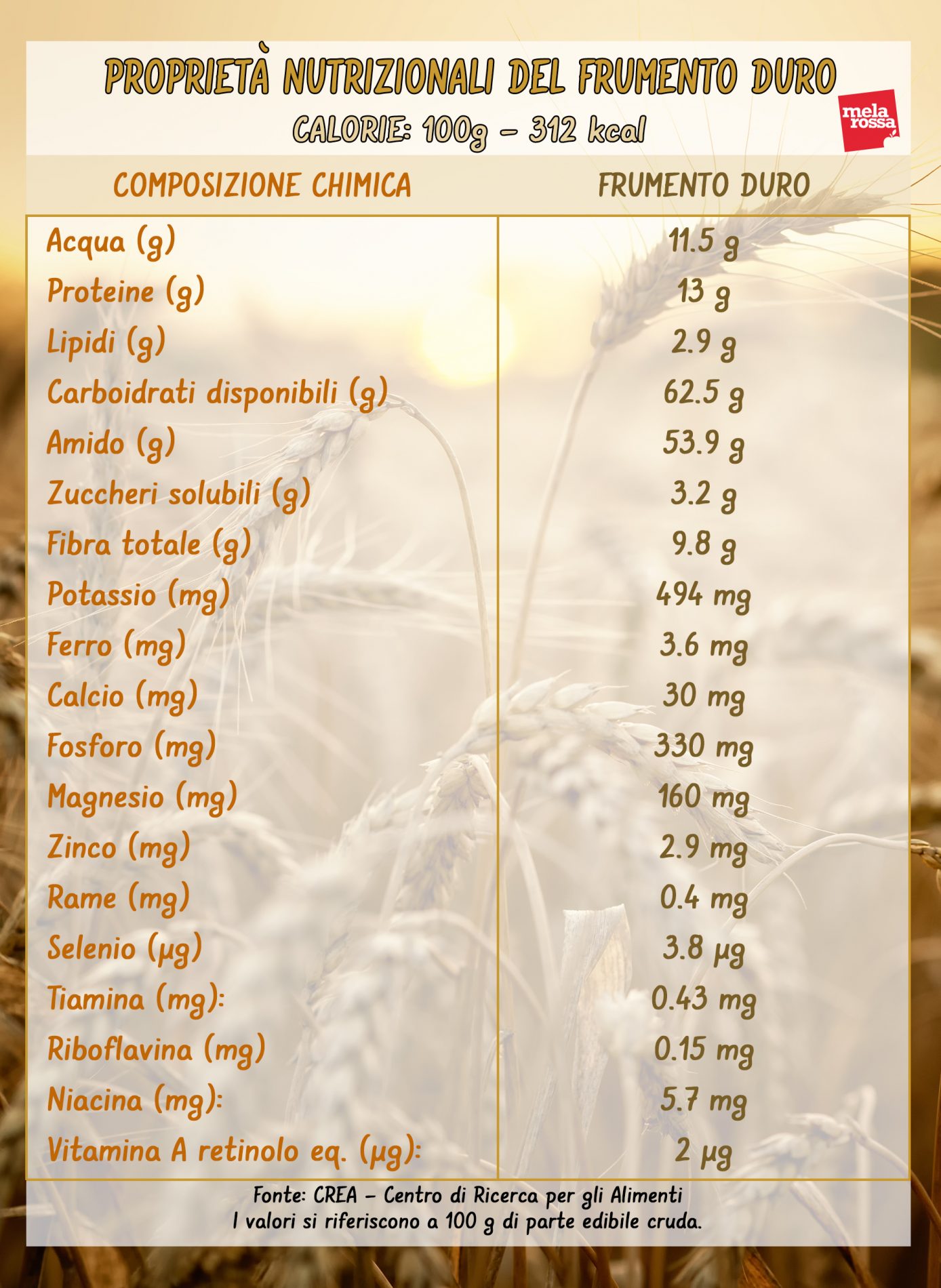 trigo duro: valores nutricionales 