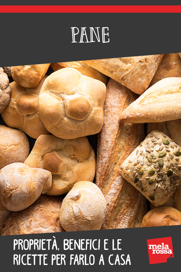 Pan, tipos, calorías, beneficios y recetas